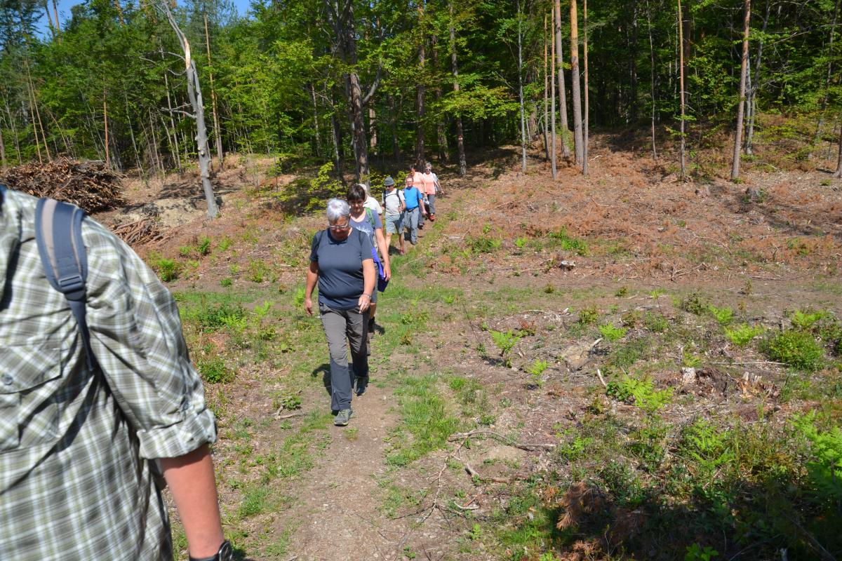 Rielingerhof 06.06.2019